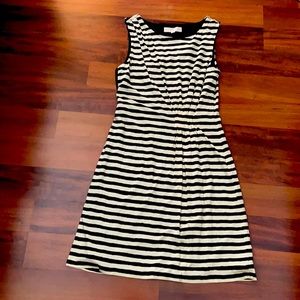 NWT Loft dress